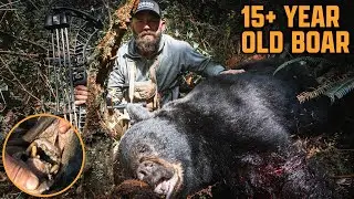 IN SEARCH OF A MONSTER - Coastal Archery Black Bear Hunt @MindfulHunter X @proguide66