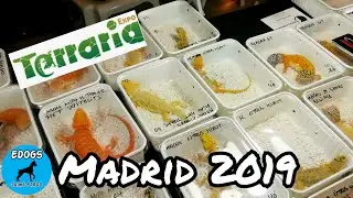EXPOTERRARIA Madrid 14/12/19