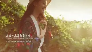 “中國大陸西部的一塊寶地”寧夏主題文旅宣傳片