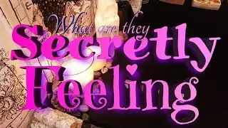 What Are They Secretly Feeling About You? | Pick a Card | Charm Dice Tarot Reading | Timeless 🥰🤫