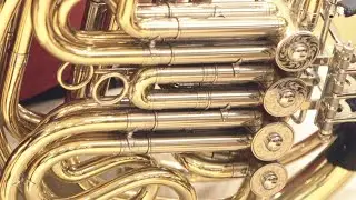ARD-Musikwettbewerb 2021 - 2. Durchgang Horn 2. Tag