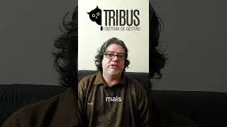 BootCamp Tribus 2025