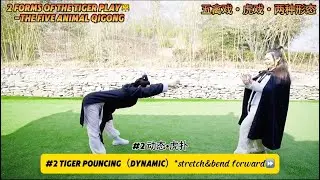 Five-Animal Qigong: Tiger Play