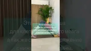 Адхо Мукха Шванасана со стулом!