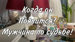 Мужчина по судьбе! Когда он появится? Таро