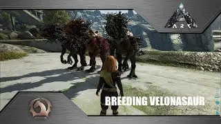 Ark Survival Evolved - Breeding Velonasaur