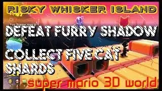 Collect Five Cat Shards | Defeat Furry Shadow | Super Mario 3D World | Risky Whisker Island
