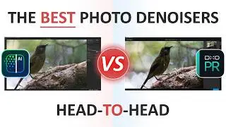 DxO PureRaw vs ON1 NoNoise AI - Image Quality, Price, Features, and User Experience Compared