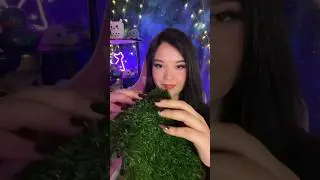 ASMR with Grass? 