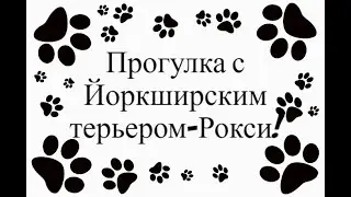 Прогулка с Рокси! #Зверополис