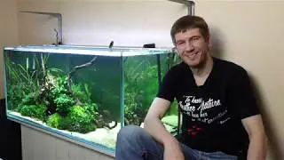 Аэрация в аквариуме. Всё, что нужно знать новичкам