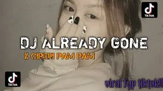 DJ ALREADY GONE X CIPERI PAM PAM VIRAL FYP TIKTOK MENGEKENE!! 𝗯𝘆 𝗱𝗷 𝗿𝘆 𝗿𝗺𝘅