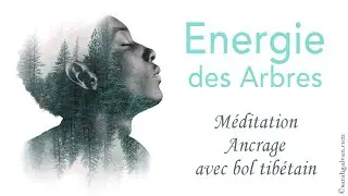 Méditation Ancrage avec bol tibétain_Sarah Galvan