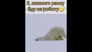 Я, кожного ранку йду на роботу