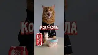 Кефир топ 