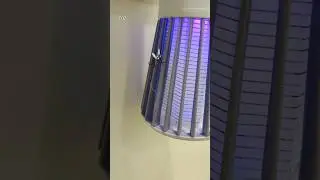 Mosquito 🦟 Killer Lamp