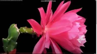 Старая/новая финансовая система  ( часть 3 )