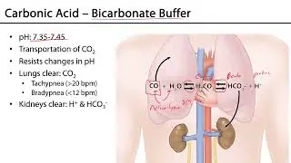 Introduction to Blood