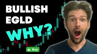 YOU STILL HAVE TIME - $1 BILLION Market Cap, Google Partnership, and More