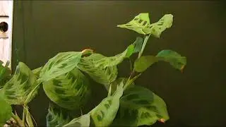 Об этом ты узнаешь первым. Ч-1.