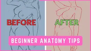 Beginner NSFW Artist Tips ⁞⁞⁞