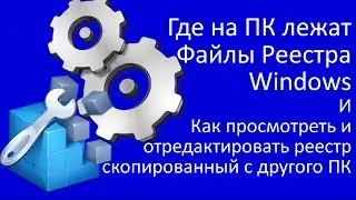 Где на ПК лежат файлы реестра Windows