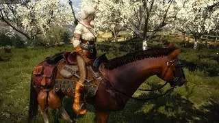 The Witcher 3 Mods ; Wid Hunt : How to play as Ciri /Console Commands
