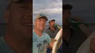 Щука пошла! #рыбалка #fishing