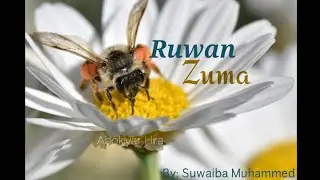 RUWAN ZUMA....15