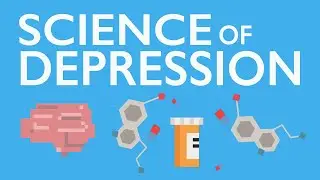 THE SCIENCE OF DEPRESSION