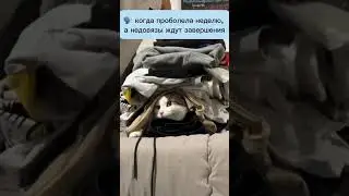 Навалилось