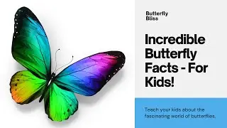 Incredible Butterfly Facts For Kids!