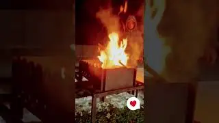 23 ноября 2023 г.