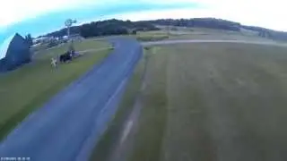 RedRotor RC Strider 250 v1.1