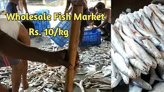 wholesale fish market !! Dhamara !! World largest Fish Market