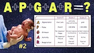 How to calculate the APGAR score ? Simple Explaination