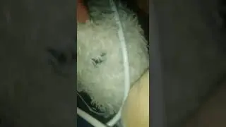 мы уезжаем и города!