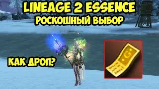 Роскошный выбор в Lineage 2 Essence.