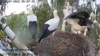 Удивительный 