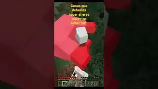 COSAS QUE DEBES HACER SI ERES NUEVO EN MINECRAFT PARTE 2