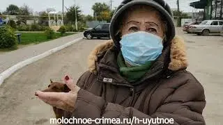 Село Уютное Сакский район - отзывы, небольшой обзор от 19.11.2020