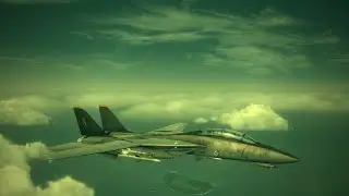Ace Combat 6 - F-14D Super Tomcat Showcase