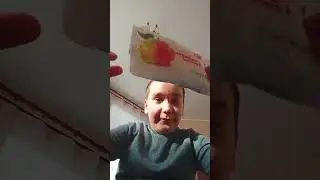 12 февраля 2024 г.