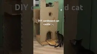 DIY cardboard cat castle 🏰😺😺 