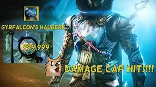 INSANE DAMAGE HUNTER BUILD!! (Hitting Damage Cap)
