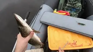 Эти приманки свели щуку с ума. Тандем из Джерка и Поппера