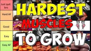 20 Hardest Muscles To Grow (SCIENCE BASED TIER LIST)