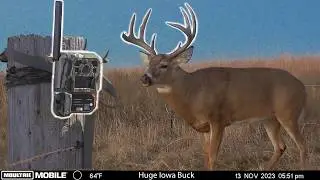 Our Biggest Bucks Ever on Trail Camera!