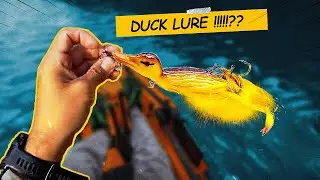 Kayak fishing a duck lure for MONSTERS!