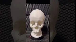 Skull 3D printing on magnets